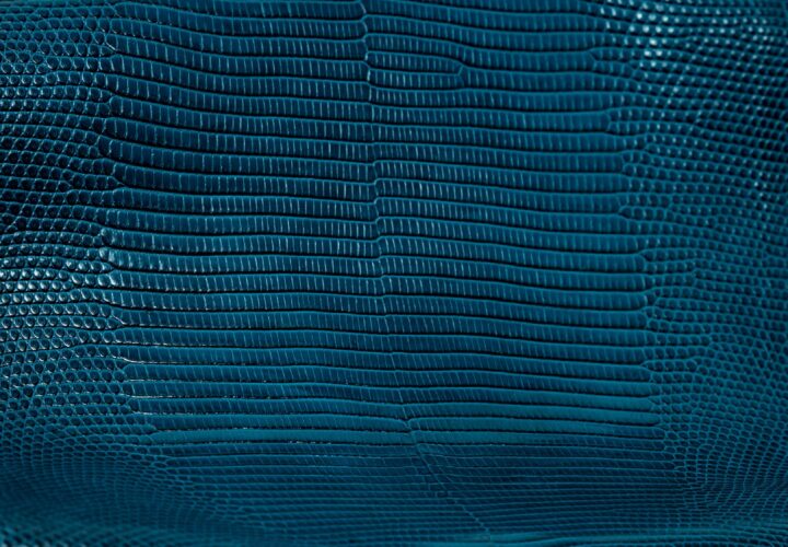 Caravel Pelli Pregiate Spa & France Croco